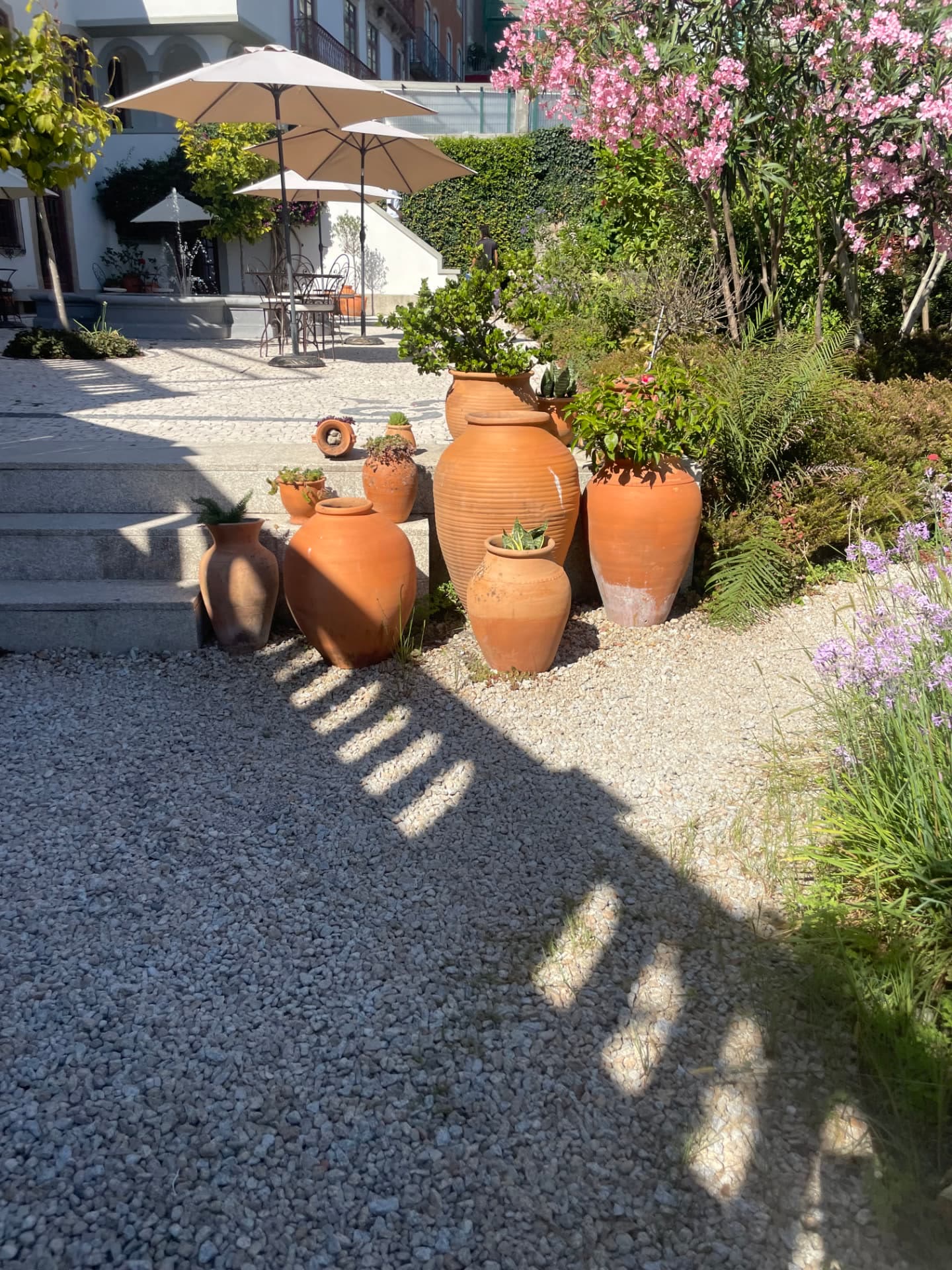 Terracotta urns and parasols on the sunlit terrace at Casa Camélia, Porto