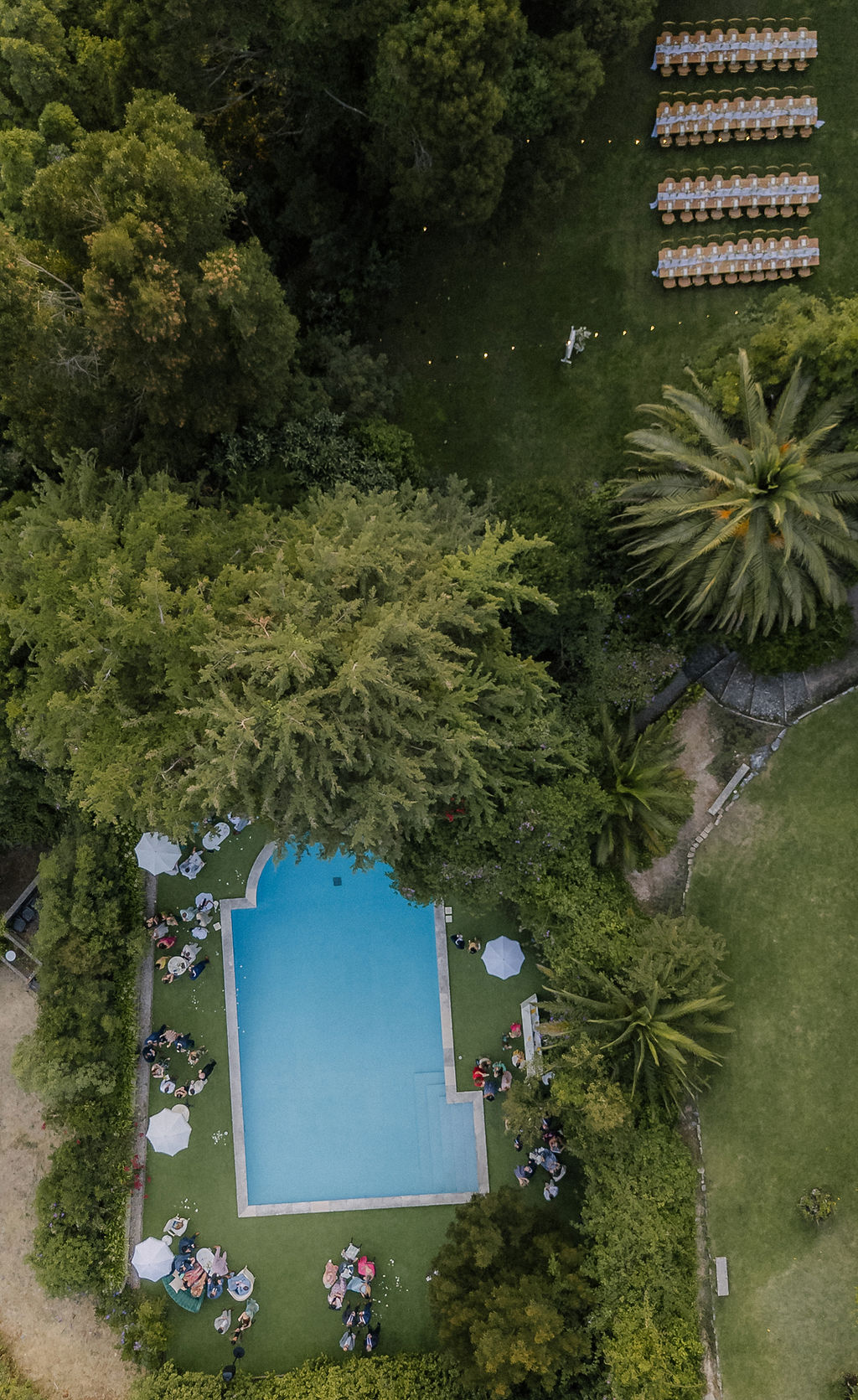 Aerial view of a poolside gathering with long banquet tables set among cypress and palm trees