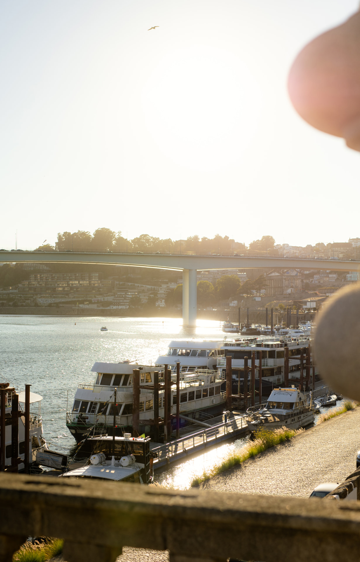 The Douro river at sunset with moored boats and a bridge above