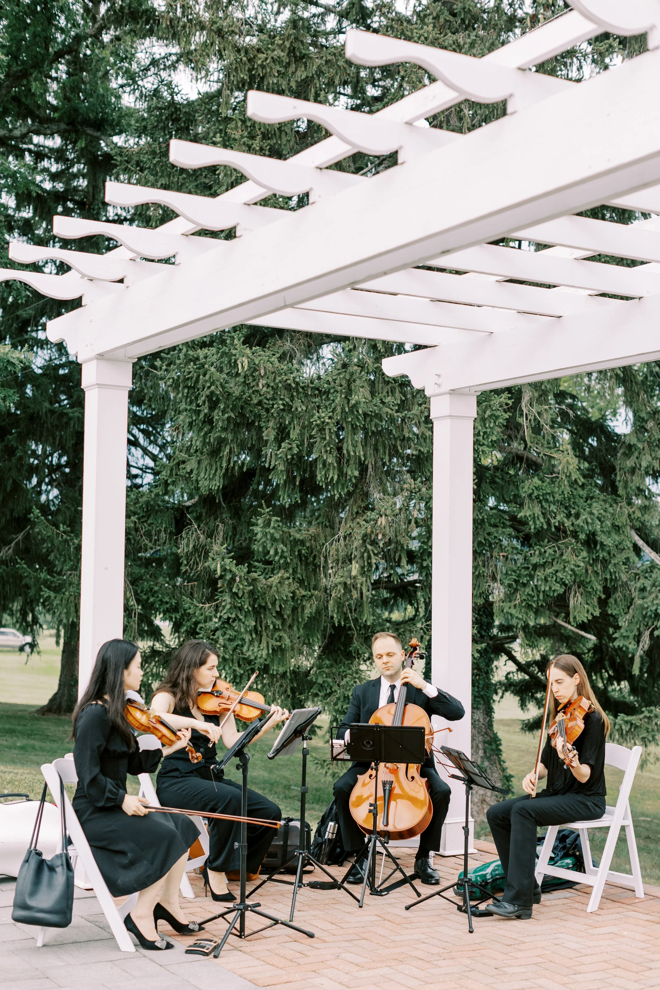 String quartet playing beneath a white pergola on the estate grounds